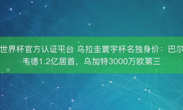 世界杯官方认证平台 乌拉圭寰宇杯名独身价:巴尔韦德1.2亿居首,乌加特3000万欧第三