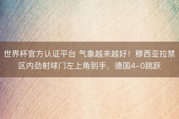 世界杯官方认证平台 气象越来越好！穆西亚拉禁区内劲射球门左上角到手，德国4-0跳跃