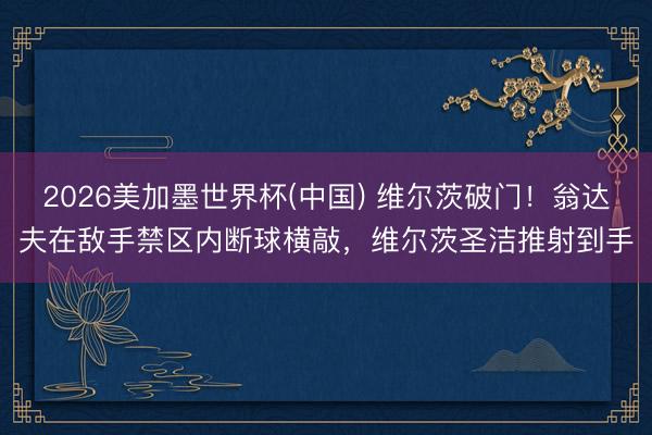 2026美加墨世界杯(中国) 维尔茨破门！翁达夫在敌手禁区内断球横敲，维尔茨圣洁推射到手