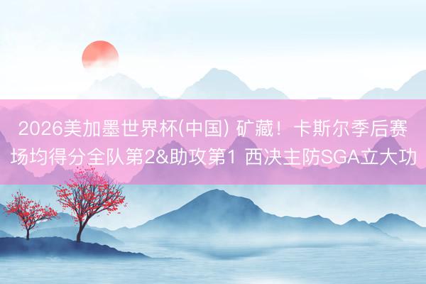 2026美加墨世界杯(中国) 矿藏!卡斯尔季后赛场均得分全队第2&助攻第1 西决主防SGA立大功
