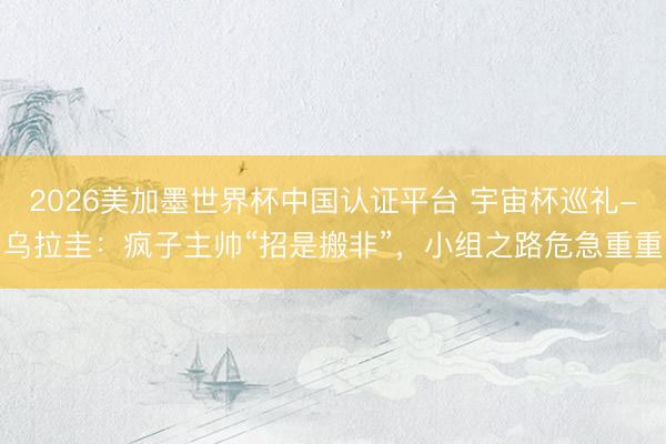 2026美加墨世界杯中国认证平台 宇宙杯巡礼-乌拉圭：疯子主帅“招是搬非”，小组之路危急重重
