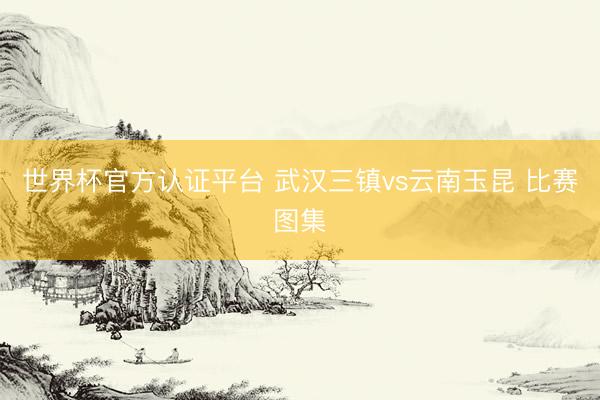 世界杯官方认证平台 武汉三镇vs云南玉昆 比赛图集