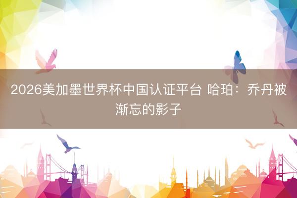 2026美加墨世界杯中国认证平台 哈珀：乔丹被渐忘的影子