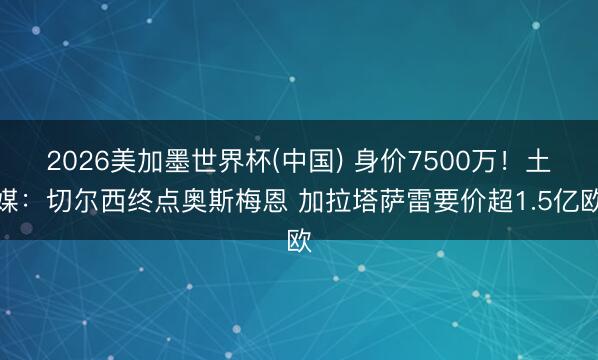 2026美加墨世界杯(中国) 身价7500万！土媒：切尔西终点奥斯梅恩 加拉塔萨雷要价超1.5亿欧