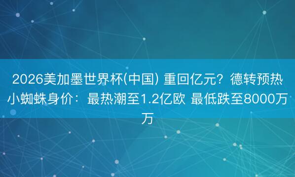 2026美加墨世界杯(中国) 重回亿元？德转预热小蜘蛛身价：最热潮至1.2亿欧 最低跌至8000万
