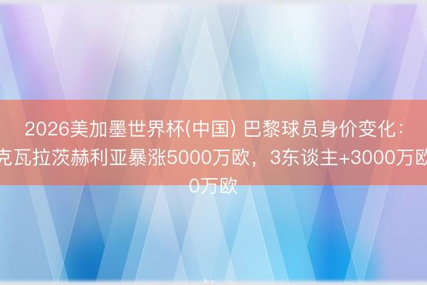 2026美加墨世界杯(中国) 巴黎球员身价变化：克瓦拉茨赫利亚暴涨5000万欧，3东谈主+3000万欧