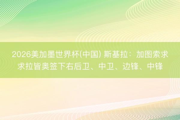 2026美加墨世界杯(中国) 斯基拉：加图索求求拉皆奥签下右后卫、中卫、边锋、中锋
