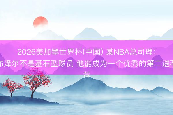 2026美加墨世界杯(中国) 某NBA总司理：布泽尔不是基石型球员 他能成为一个优秀的第二遴荐