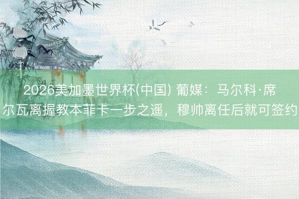 2026美加墨世界杯(中国) 葡媒：马尔科·席尔瓦离握教本菲卡一步之遥，穆帅离任后就可签约