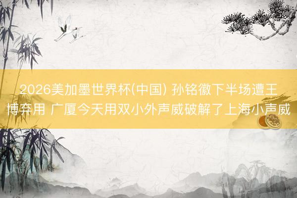 2026美加墨世界杯(中国) 孙铭徽下半场遭王博弃用 广厦今天用双小外声威破解了上海小声威